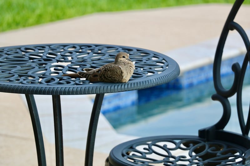 Cozy Seating